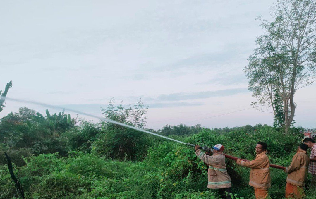 Kebakaran lahan pamekasan.jpg