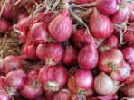 Bawang merah 169.jpeg