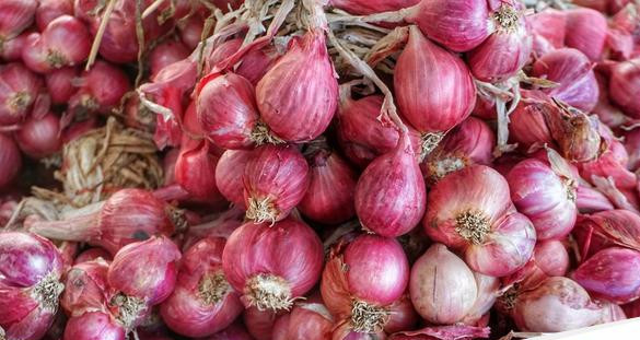 Bawang merah 169.jpeg