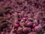 Harga bawang merah lokal di semarang turun 1745379225469 169.jpeg