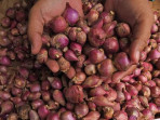 Harga bawang merah naik 1 169.jpeg