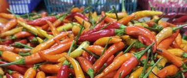 Harga cabai rawit naik di pasar sidoarjo 1743313766014 169.jpeg