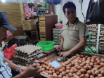 Pedagang telur ayam 169.jpeg