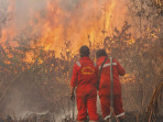 Pemadaman kebakaran lahan gambut di desa rimbo panjang 2578633.jpg