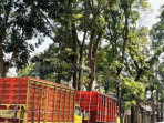 Truk pengangkut ayam terjebak di jalur gumitir 1753341635714 169.jpeg
