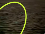 Viral kilauan cahaya di laut bawah jembatan suramadu 1753927425772 169.jpeg