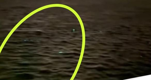 Viral kilauan cahaya di laut bawah jembatan suramadu 1753927425772 169.jpeg
