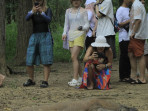 Jumlah komodo di pulau komodo 230525 kh 6jpg.jpg