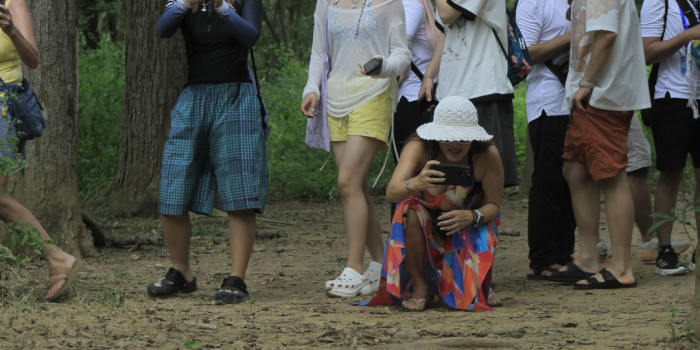 Jumlah komodo di pulau komodo 230525 kh 6jpg.jpg