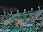 Bonek persebaya gelora bung tomo 169.jpeg