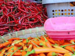Cabai rawit bawang merah di sinjai meroket harganya 1 169.jpeg
