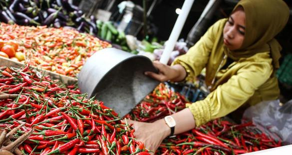 Harga cabai di palangka raya melambung tembus rp 90 ribukg 169.jpeg