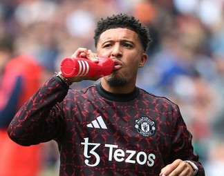 Jadon sancho.jpeg