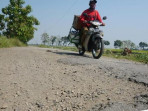 Kondisi jalan di desa pojok kulon jombang 1755244820949 169.jpeg