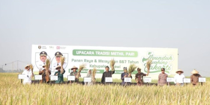 Panen ngawi.jpeg