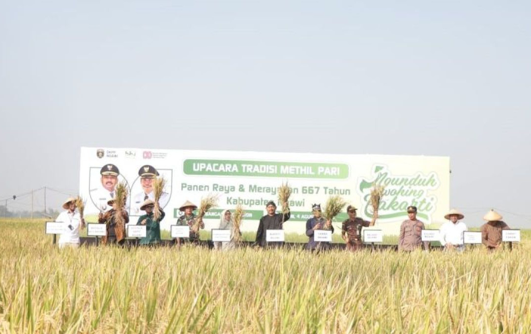 Panen ngawi.jpeg